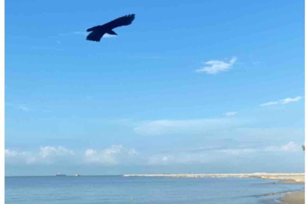 Melaka Beach Villa Klebang Besar Buitenkant foto